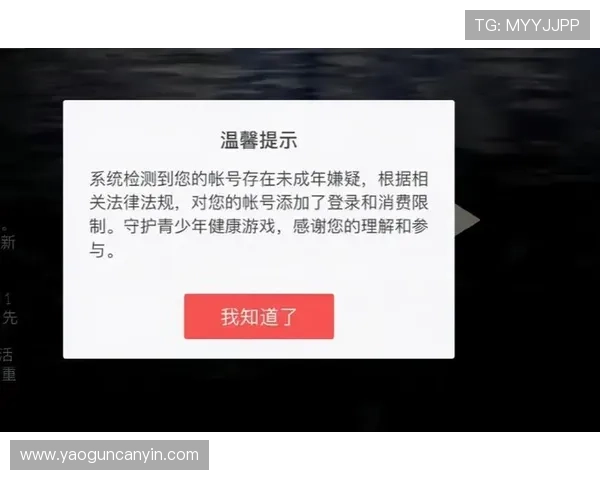 开云电游官网安全保障措施，保障玩家个人信息与资金安全的多重防护系统